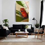 Hayvan Fotoğrafları Cam Tablo | Dayanıklı Temperli Cam