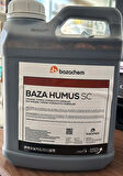 BAZAHUMUS SC
