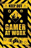 GAMERATION GAMER AT WORK MAXI POSTER (ITHAL)