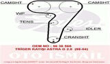 Gates 5429XS Eksantrik Kayışı 168x240 Brava Bravo Marea Punto 1.8 16V 95-Lancia Alfa Romeo Ct876 55210628
