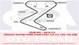 Gates 5528XS Triger Kayışı 153x254 Peugeot 206 307 406 407 607 C4 C5 C8Xsara1.8 2.0 2.2 Expert Fiat Ct1138 C 0816.F4