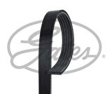 Gates 5PK1510 Kanallı V Kayışı W176 12-18 W177 18-Clio II 1.2 98-Twingo 1.2 98 00 117205DD0A