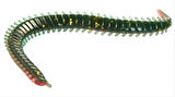 Lrf Silikonu Luckyjohn Sandworm 10Cm Kokulu 15’Li Pk Renk:F29n