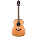 Takamine GD20-NS Akustik Gitar