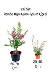 Pembe Oya Ağacı Fidanı+ Gaura Çiçeği 2'Li Set Dış Mekan Bitkisi