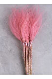 Şoklanmış Kuru Stipa Otu Pembe Renk 8-10 Dal Otriş Otu-Sorguç 25-35Cm