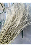Stipa Otu Doğal Şoklanmış Kuru Ot Demeti Naturel Stipa 10-15 Dal 30-35Cm