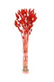 Kırmızı Pamuk Otu Kuru Çiçek 50-60 Dal Red Lagurus Tavşan Kulağı 30-40cm
