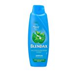 Blendax Şampuan Isırgan  470 ml x 6 Adet