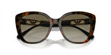EMPORIO ARMANI 4214U 60608E 54 Güneş Gözlüğü