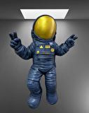 AROSE DUVAR ASTRONOT DEKOR