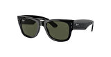 RAYBAN RB 0840S GÜNEŞ GÖZLÜĞÜ