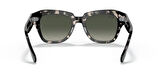 RAY-BAN RB2186 1333/71