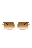 RAY-BAN RB 1969 9196/51 GÜNEŞ GÖZLÜĞÜ