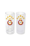 Ghostbastır Design Galatasaray Buzlu / Buzsuz Seçenekli Rakı Bardağı – 1 Adet Şık Sunum Bardağı 0205