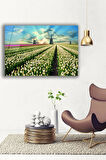 Dekoratif Duvar Tablosu Temperli Cam Tablo 36x23 cm