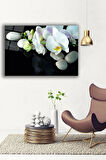 Dekoratif Duvar Tablosu Temperli Cam Tablo 36x23 cm