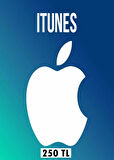 App Store & iTunes Hediye Kartı 250 TL