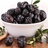 2 Yaş Gemlik Trilye Sofralık Zeytin Fidanı