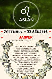 Sertifikalı Burç Taşı Aslan Burcu Jasper Taşı Bileklik