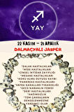 Sertifikalı Burç Taşı Yay Burcu Jasper Taşı Bileklik