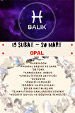 Sertifikalı Burç Taşı Balık Burcu Opal Taşı Bileklik