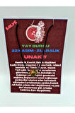 Sertifikalı Yay Burcu Unakit Taşı Doğal Taş Kolye