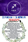 Sertifikalı Yay Burcu Burç Bilekliği