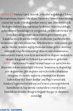Sertifikalı Hematit & Opal Doğal Taş Kolye
