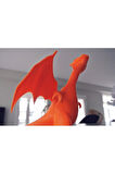 Pokemon Charizard Biblo