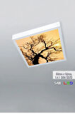 1x1 -tekli-60x60-tavana Yapışık Led Panel-54w-sıva Üstü Avize-kolay Montaj-ağaçlı- Led