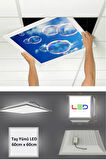 Asma Tavan Led-60cmx60cm-sıva Altı-54w-6500k-led Panel-led Armatür- 60x60 Taş Yünü Asma Tavan Ledi