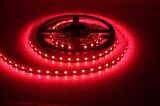 CT-4482 10Ç İÇ MEKAN KIRMIZI LED ŞERİT(5 MT-10LU) CATA