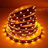 CT-4492 10Ç DIŞ MEKAN AMBER LED ŞERİT(5 MT) CATA