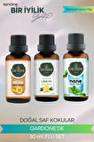 Portakal + Limon + Nane (Oda Kokusu Aroma Terapi Buhurdanlık/Difüzör Yağı) 3 Adet x 30 ml