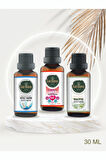 Beyaz Sabun + Amber + Okaliptus (Oda Kokusu Aroma Terapi Buhurdanlık/Difüzör Yağı) 3 Adet x 30 ml