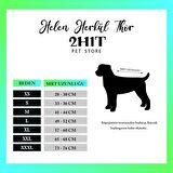 KÖPEK KURULAMA BORNOZU GRİ