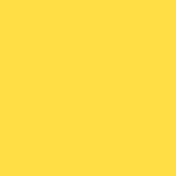Gdx Seyyar Kağıt Sonsuz Stüdyo Fon Perde (Canary) 2.70x11 Metre