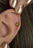 Gold Çelik Pati Model Piercing Tragus Helix Kıkırdak