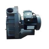 General Water Visco 1 HP / 0,75 kW Ön Filtresiz Trifaze Havuz Pompası