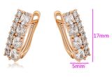 GiftWorld Taşlı Şık Küpe / 18K Gold Renk Vip Seri