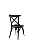 Gazzini Thonet Ahşap Sandalye