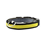 Petzz Işıklı Ayarlanabilir Flaşörlü Kedi ve Köpek Boyun Tasması Sarı 40-48 Cm / 2.5 Cm.Gzpde