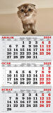 2025 Yılı Gemici Takvimi-Scottish Fold Yavru Kedi