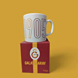 Galatasaray Lisanslı Kupa Yeni Sezon 2024