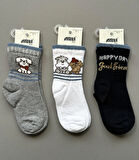 3'lü Erkek Çocuk Perro Soket Çorap Seti