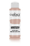 HARMONY AKRİLİK BOYA HAR-007 PUDRA PEMBE 120ML