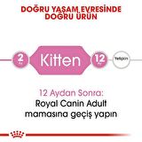 Royal Canin Kitten Yavru Kedi Maması 2 kg