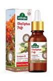 Arifoğlu Okaliptus Yağı 20ML