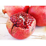 Nar Fidanı Devedişi Açık Kök 50-100 cm Pomegranate Sapling